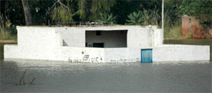Water from the Sirhind canal inundated a house at Paras Ram Nagar in Bathinda on Thursday.