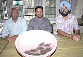 Officials with the seized turtles in Abohar. 