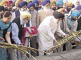 Capt Kanwaljit Singh, cooperative minister, puts a bundle of sugarcane to kickstart the crushing of the crop at the Batala Cooperative Sugar Mill near Batala on Saturday.