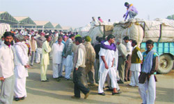 A scene at cotton market in Abohar