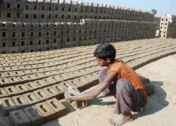 Brick by brick: A young worker earns his living by working at a brick kiln in Bathinda.