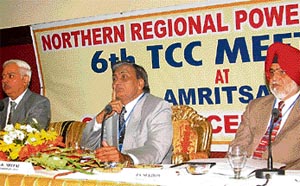 Delegates at the 6th meeting of the Technical Coordination Committee of the Northern Regional Power Committee in Amritsar on Wednesday.