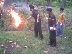 Army personnel eradicating the congress grass by burning it in the cantonment area at Bathinda.