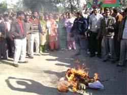 Protesters burn the effigy of the chief minister in Abohar on Wednesday.