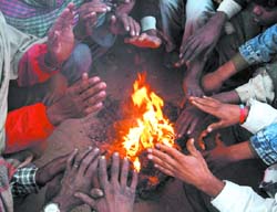 People crowd around a fire-place for warmth to escape the winter chill in Bathinda on Thursday. The city has been witnessing sunny days and the fog too is conspicuous by its absence so far. But the nip in the air is strong enough to force people to take recourse to ways to ward off that freezing feeling.