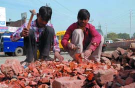 For many, life does not give many options. Boys crushing bricks at Bibiwala Chowk in Bathinda on Monday. 