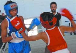 A bout in progress at the boxing contest in Bathinda on Friday. 