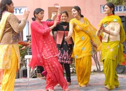 Students of Gurukul College celebrating Lohri in Bathinda on Thursday.