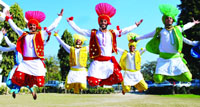 Students of the Punjabi University Neighbourhood Campus (PUNC) presenting a colourful bhangra in Rampura Phul on Tuesday.