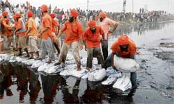 Workforce of Baba Balbir Singh Seechewal blocks a portion of the Kala Sanghian drain at Nahal village in Jalandhar district on Friday