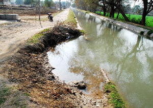 A distributory of the Sirhand canal is overflowing and broken at various emabankments making the safety of those residing in the adjoining area vulnerable. 