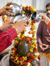 Devotees pour milk over the Shivalingam at a temple in Amritsar on Maha Shivratri on Thursday.