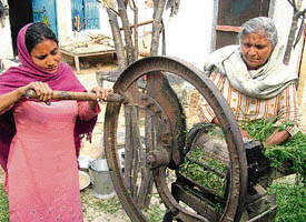 Two women prepare fodder for cattle at a village near the Indo-Pak border near Amritsar on Saturday
