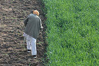 Photo by&nbsp;Kuldip Dhiman