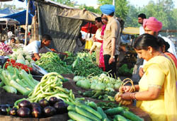 Vegetable prices have skyrocketed in Bathinda