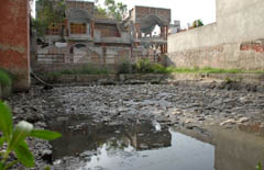 The sump is a breeding ground for mosquitoes. 