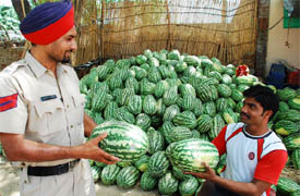 With the rise in temperature, water melons have also started making their presence felt at the fruit markets in Bathinda.