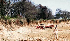 A labourer and a tractor-trailer at the disputed field at Manwal village near Pathankot on Monday.