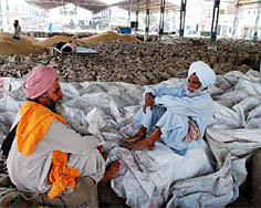 Farmers sit in the grain market, Bathinda, in a pensive mood on Wednesday as the lifting of wheat remained suspended for nearly a week now.