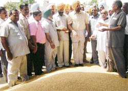 Markfed MD G.S. Grewal talks to arhtiyas in grain market at Sunam