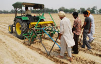 A farmer re-sowing cotton seeds at village Ghudda.