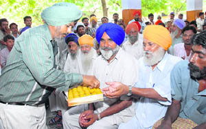 Truck union members distribute laddoos in Bathinda after their strike was called off on Friday.