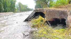 Crumbling embankments of the Sirhind Canal near Phoola in Bathinda district.