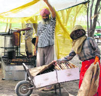 Beekeepers extract honey from beehives in Bathinda.