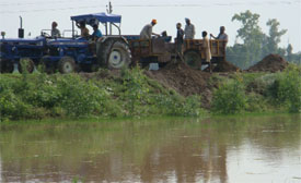 Farmers join hands to strengthen the bandh along Sutlej near Basti Ram Lal in Ferozepur.