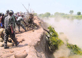 Jawans push uprooted trees into the Sutlej to divert its flow at Kanwala Pattan in Fazilka.