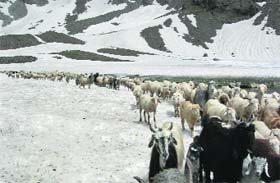 � Photo by the writer