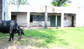 The only primary school at Simbal Skol village of Gurdaspur has been closed for the past two years.