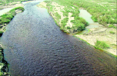 Effluents discharged by industrial units in Mehatpur, Himachal Pradesh, have blackened water of the Swan rivulet.