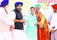 Harsimrat Kaur Badal presents a sapling to a newly married couple while launching the Nanhi Chhaan campaign at Talwandi Sabo on Sunday.