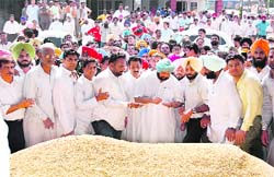 Former Chief Minister Capt Amarinder Singh at the Khanna grain market 
