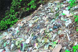 ECO HAZARD: Polythene waste on the hill slopes around Mussoorie.