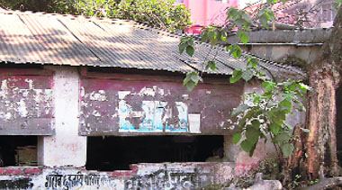 Following a report in The Tribune on Sunday, the Municipal Corporation, Dehradun, swung into action and removed the tree that had fallen on the roof of a tin shed in the District Courts complex a couple of months back.