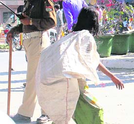 Child labour is banned, but in the absence of strict enforcement of law, many young lives continue to toil in various jobs to eke out a living as is evident from these pictures clicked by Tribune lensman Anil P. Rawat