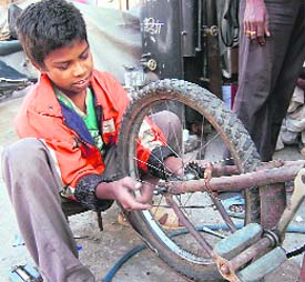 Child labour is banned, but in the absence of strict enforcement of law, many young lives continue to toil in various jobs to eke out a living as is evident from these pictures clicked by Tribune lensman Anil P. Rawat
