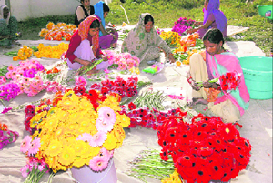 Women arrange flowers at a collection centre.