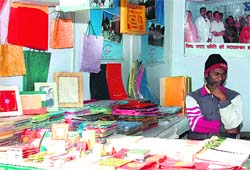 Paper-made items by Divya Prem Seva Mission on display at the khadi festival. 