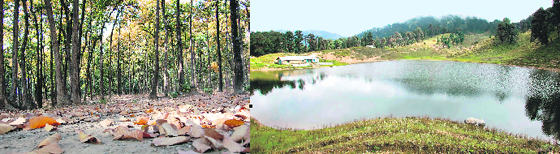 A view of the thick Sal forest in Dehradun district; and (right) Massar Tal lake and meadow in Tehri Garhwal.