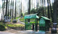 The Dhara eco-park at Dhanolti near Mussoorie.