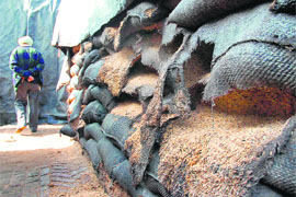 A huge quantity of paddy is rotting in Ucha Kalan Khamanon village of Ludhiana district.