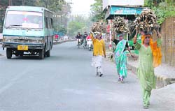 Women carry wood for fuel at the Rajpur road in Dehradun