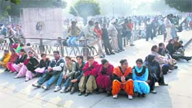 People make the most of the sun at Chandigarh�s Sector 17 Plaza on Friday