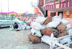 Sacks of liquor bottles in Dehradun�s residential area.