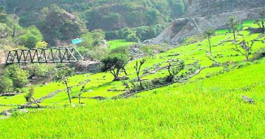 The traditional network of small canals which tap the water from rivulets for irrigation purposes in hills