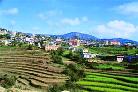Farms in Tehri Garhwal district