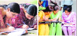 Students engrossed in their studies on the Jammu University campus. 